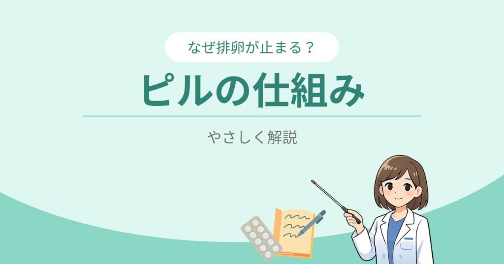 なぜ排卵が止まる？ピルの仕組み